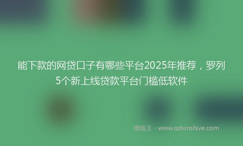 能下款的网贷口子有哪些平台2025年推荐，罗列5个新上线贷款平台门槛低软件