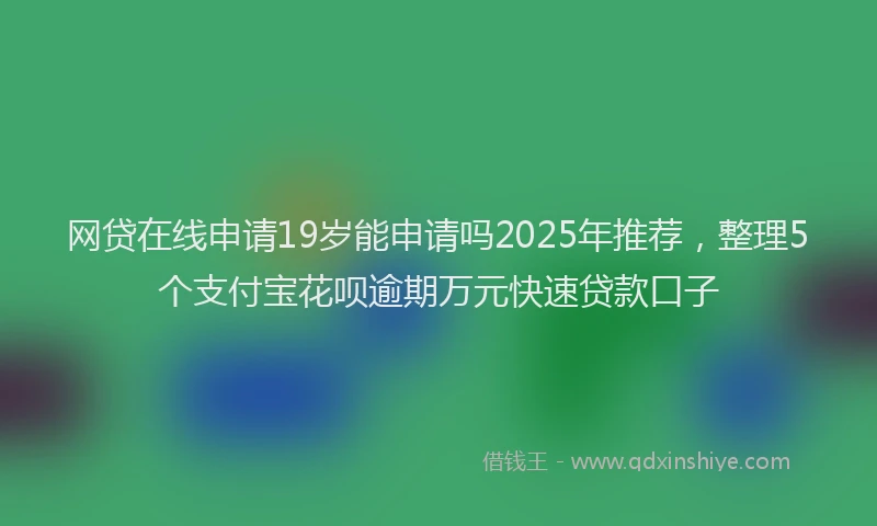 网贷在线申请19岁能申请吗2025年推荐，整理5个支付宝花呗逾期万元快速贷款口子