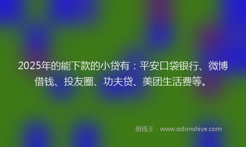 2025年的能下款的小贷有：平安口袋银行、微博借钱、投友圈、功夫贷、美团生活费等。