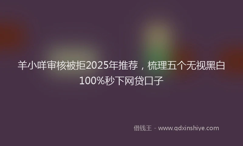 羊小咩审核被拒2025年推荐，梳理五个无视黑白100%秒下网贷口子