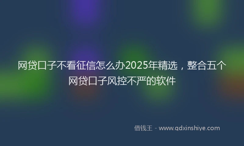 网贷口子不看征信怎么办2025年精选，整合五个网贷口子风控不严的软件