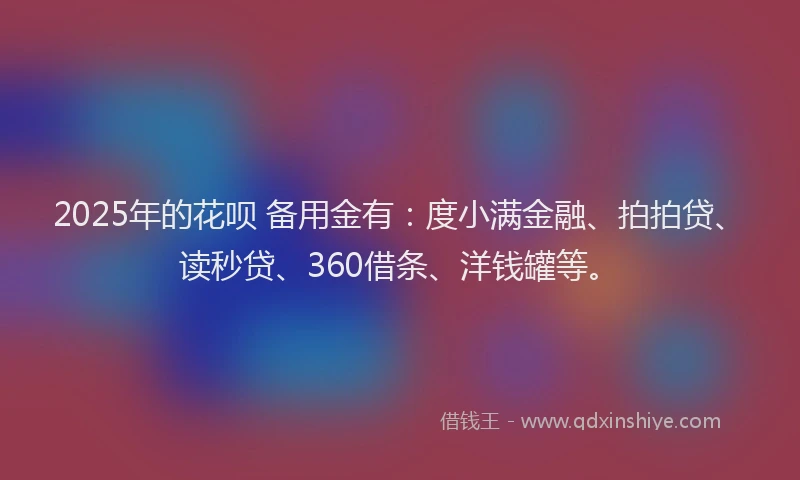 2025年的花呗 备用金有：度小满金融、拍拍贷、读秒贷、360借条、洋钱罐等。
