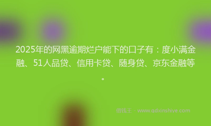 2025年的网黑逾期烂户能下的口子有：度小满金融、51人品贷、信用卡贷、随身贷、京东金融等。