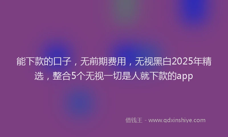 能下款的口子，无前期费用，无视黑白2025年精选，整合5个无视一切是人就下款的app