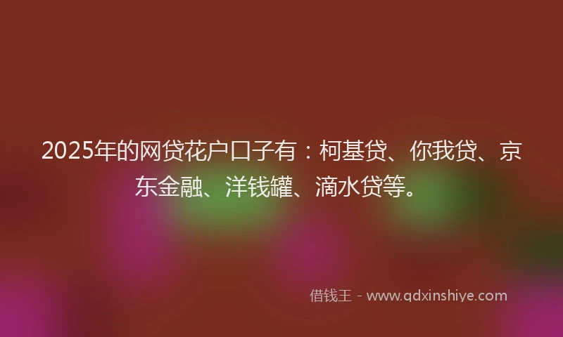 2025年的网贷花户口子有：柯基贷、你我贷、京东金融、洋钱罐、滴水贷等。