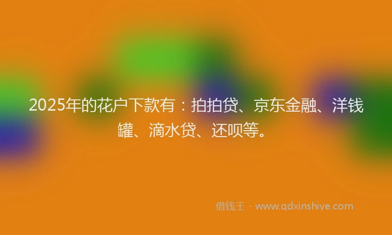 2025年的花户下款有：拍拍贷、京东金融、洋钱罐、滴水贷、还呗等。