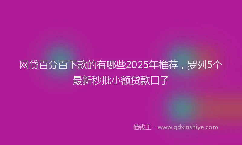 网贷百分百下款的有哪些2025年推荐，罗列5个最新秒批小额贷款口子