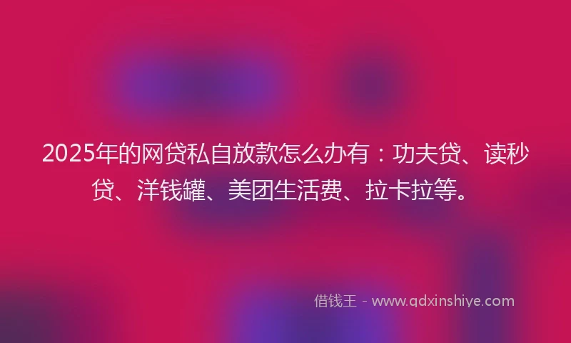 2025年的网贷私自放款怎么办有：功夫贷、读秒贷、洋钱罐、美团生活费、拉卡拉等。