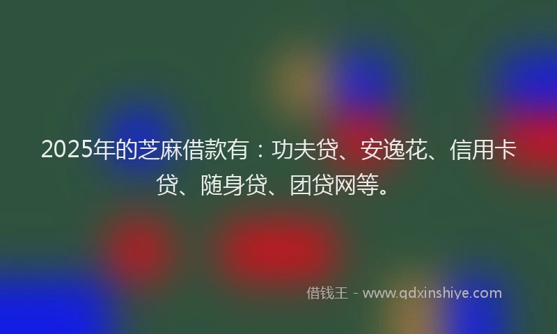 2025年的芝麻借款有：功夫贷、安逸花、信用卡贷、随身贷、团贷网等。