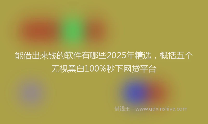 能借出来钱的软件有哪些2025年精选，概括五个无视黑白100%秒下网贷平台