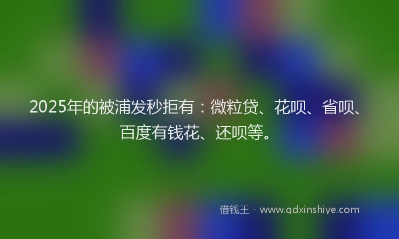 2025年的被浦发秒拒有：微粒贷、花呗、省呗、百度有钱花、还呗等。