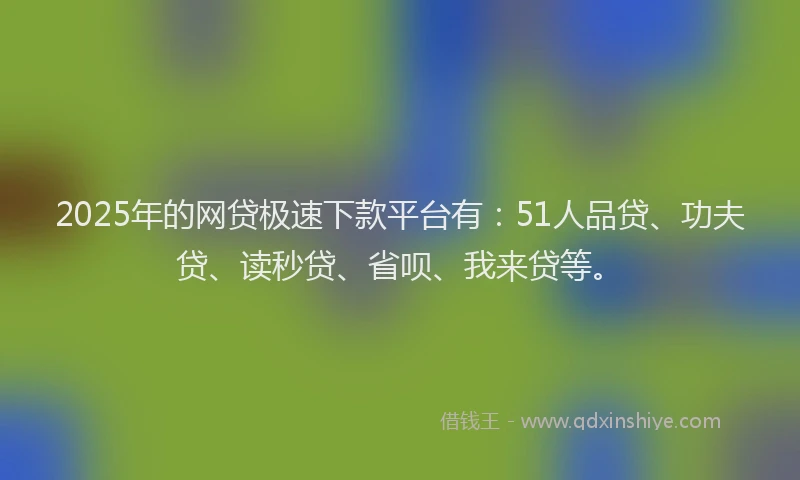 2025年的网贷极速下款平台有：51人品贷、功夫贷、读秒贷、省呗、我来贷等。
