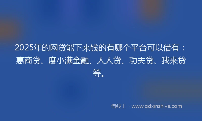 2025年的网贷能下来钱的有哪个平台可以借有：惠商贷、度小满金融、人人贷、功夫贷、我来贷等。