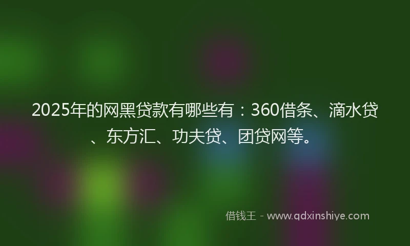 2025年的网黑贷款有哪些有：360借条、滴水贷、东方汇、功夫贷、团贷网等。