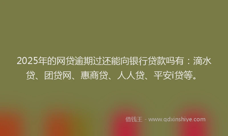 2025年的网贷逾期过还能向银行贷款吗有：滴水贷、团贷网、惠商贷、人人贷、平安i贷等。