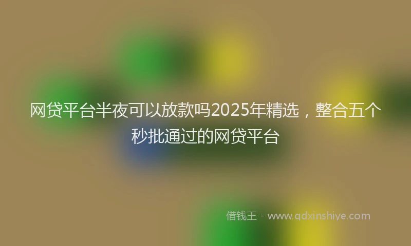 网贷平台半夜可以放款吗2025年精选，整合五个秒批通过的网贷平台