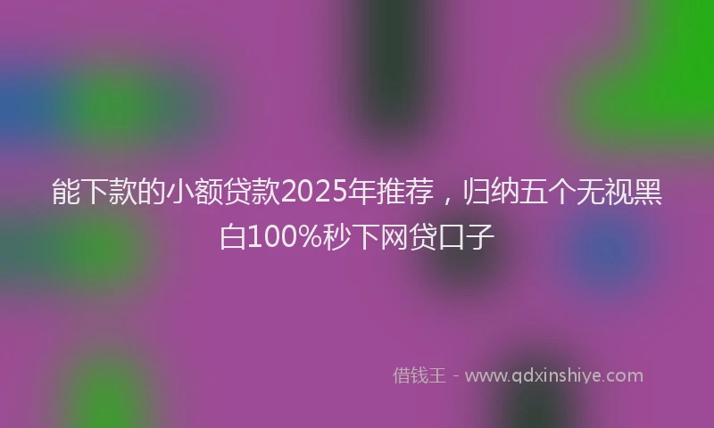 能下款的小额贷款2025年推荐，归纳五个无视黑白100%秒下网贷口子