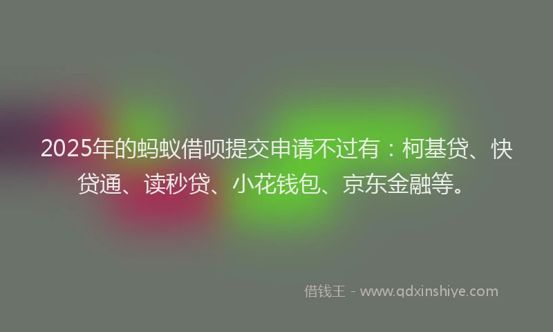 2025年的蚂蚁借呗提交申请不过有：柯基贷、快贷通、读秒贷、小花钱包、京东金融等。
