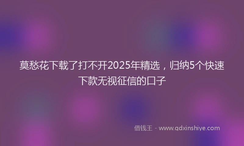莫愁花下载了打不开2025年精选，归纳5个快速下款无视征信的口子