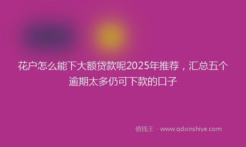 花户怎么能下大额贷款呢2025年推荐，汇总五个逾期太多仍可下款的口子