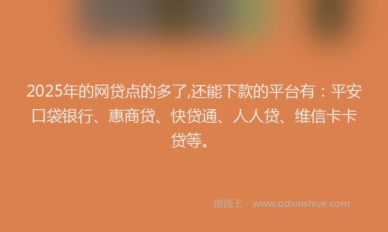 2025年的网贷点的多了,还能下款的平台有：平安口袋银行、惠商贷、快贷通、人人贷、维信卡卡贷等。