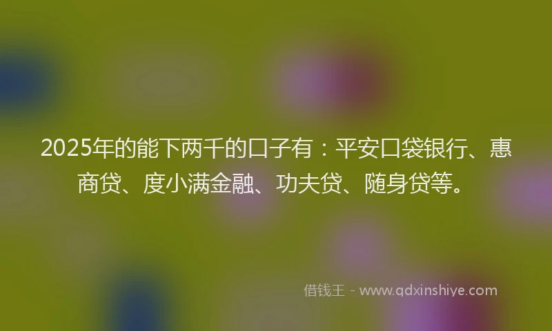 2025年的能下两千的口子有：平安口袋银行、惠商贷、度小满金融、功夫贷、随身贷等。