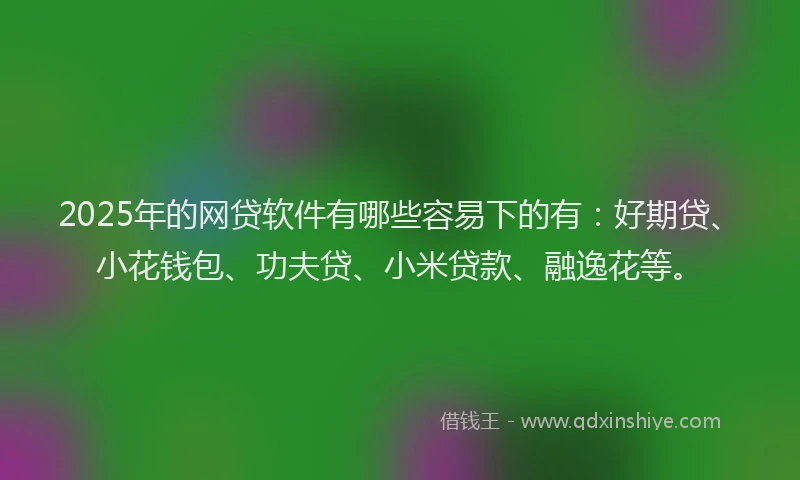 2025年的网贷软件有哪些容易下的有：好期贷、小花钱包、功夫贷、小米贷款、融逸花等。