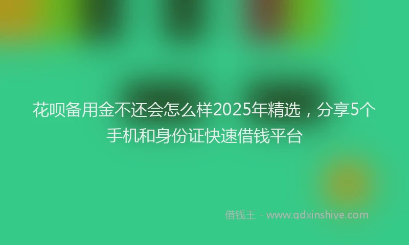 花呗备用金不还会怎么样2025年精选，分享5个手机和身份证快速借钱平台