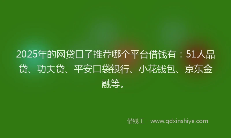 2025年的网贷口子推荐哪个平台借钱有：51人品贷、功夫贷、平安口袋银行、小花钱包、京东金融等。