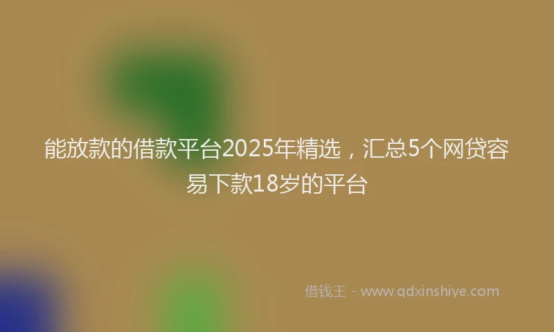 能放款的借款平台2025年精选，汇总5个网贷容易下款18岁的平台