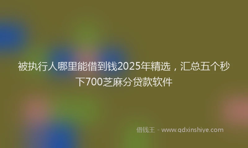 被执行人哪里能借到钱2025年精选，汇总五个秒下700芝麻分贷款软件