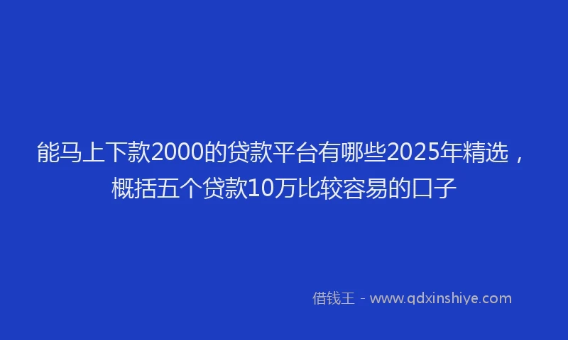 能马上下款2000的贷款平台有哪些2025年精选，概括五个贷款10万比较容易的口子
