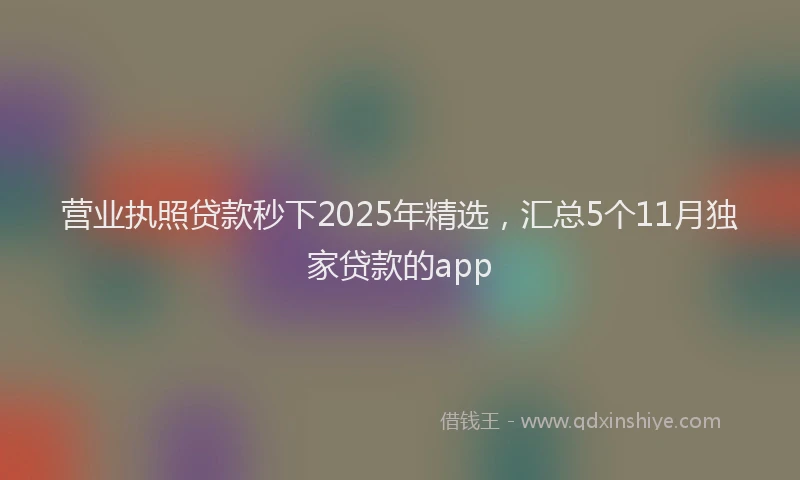 营业执照贷款秒下2025年精选，汇总5个11月独家贷款的app