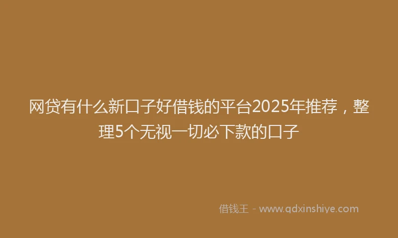 网贷有什么新口子好借钱的平台2025年推荐，整理5个无视一切必下款的口子