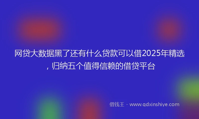 网贷大数据黑了还有什么贷款可以借2025年精选，归纳五个值得信赖的借贷平台