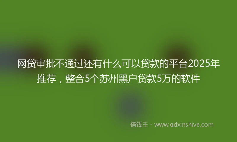 网贷审批不通过还有什么可以贷款的平台2025年推荐，整合5个苏州黑户贷款5万的软件