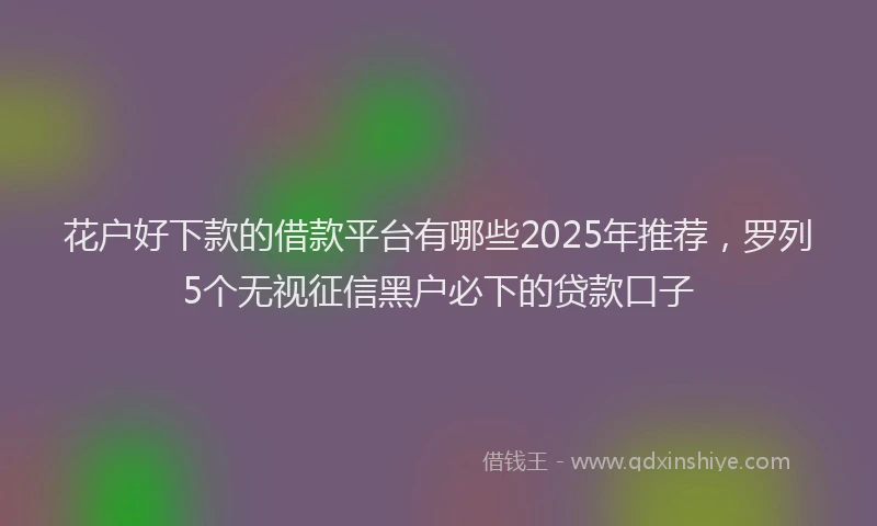 花户好下款的借款平台有哪些2025年推荐，罗列5个无视征信黑户必下的贷款口子