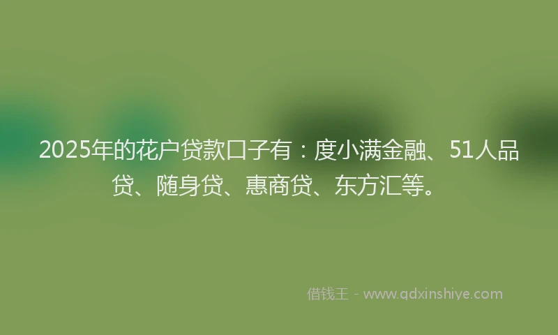 2025年的花户贷款口子有：度小满金融、51人品贷、随身贷、惠商贷、东方汇等。