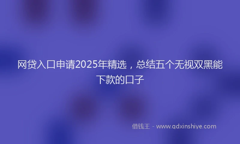 网贷入口申请2025年精选，总结五个无视双黑能下款的口子