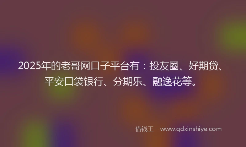 2025年的老哥网口子平台有：投友圈、好期贷、平安口袋银行、分期乐、融逸花等。