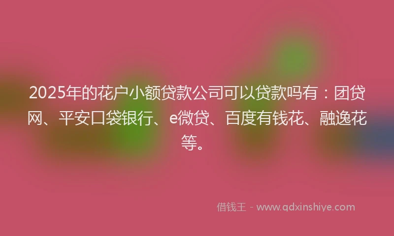 2025年的花户小额贷款公司可以贷款吗有：团贷网、平安口袋银行、e微贷、百度有钱花、融逸花等。