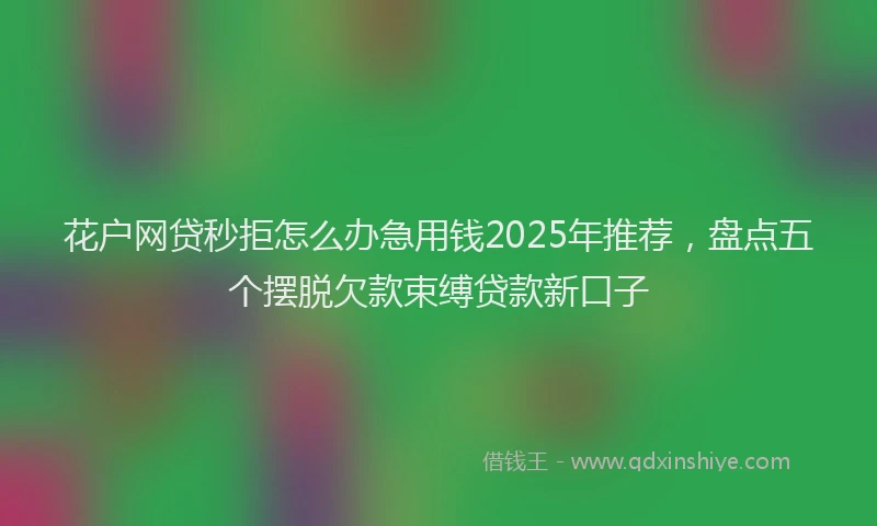 花户网贷秒拒怎么办急用钱2025年推荐，盘点五个摆脱欠款束缚贷款新口子