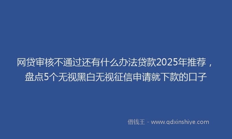 网贷审核不通过还有什么办法贷款2025年推荐，盘点5个无视黑白无视征信申请就下款的口子
