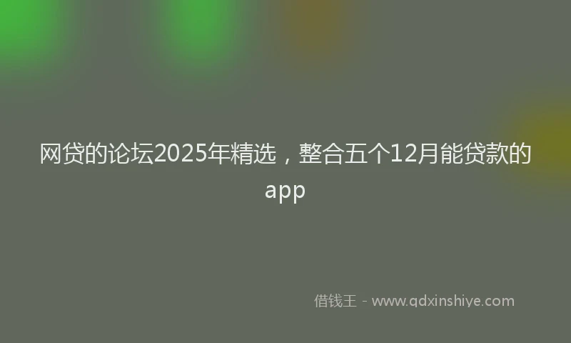 网贷的论坛2025年精选，整合五个12月能贷款的app