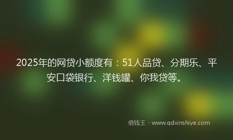 2025年的网贷小额度有：51人品贷、分期乐、平安口袋银行、洋钱罐、你我贷等。