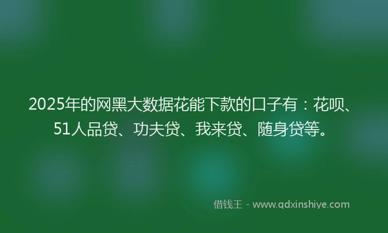 2025年的网黑大数据花能下款的口子有：花呗、51人品贷、功夫贷、我来贷、随身贷等。