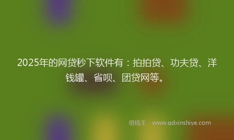2025年的网贷秒下软件有：拍拍贷、功夫贷、洋钱罐、省呗、团贷网等。