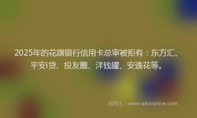 2025年的花旗银行信用卡总审被拒有：东方汇、平安i贷、投友圈、洋钱罐、安逸花等。