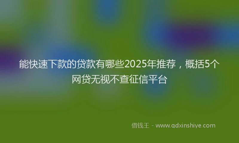 能快速下款的贷款有哪些2025年推荐，概括5个网贷无视不查征信平台