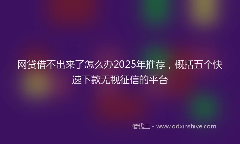 网贷借不出来了怎么办2025年推荐，概括五个快速下款无视征信的平台